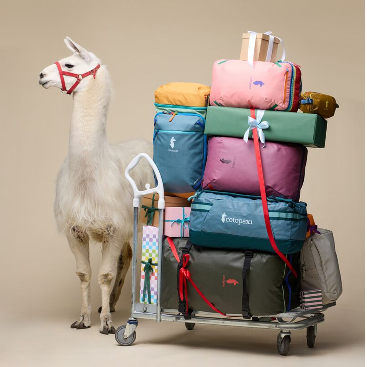 Digital Gift Card - Image 4