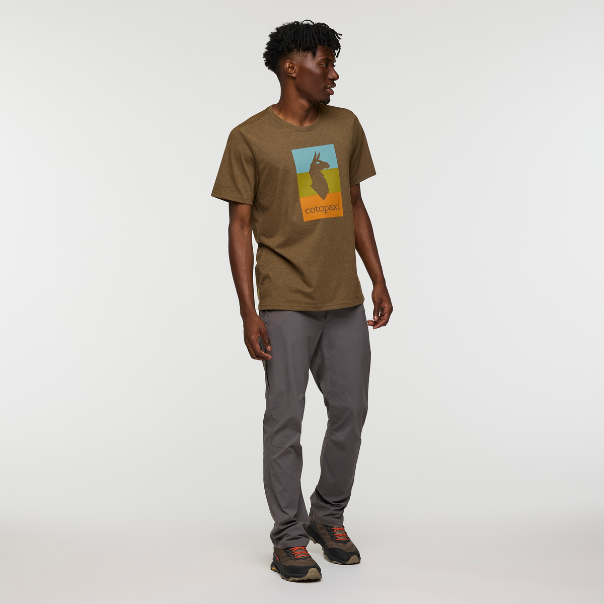 Llama Block T-Shirt - Men's - Image 8